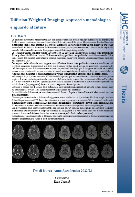 PAGINA%20351-24%20TESI%20CASTALDI.png